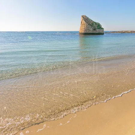 A 300m Dalla Nautilus Torre Pali